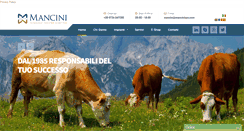 Desktop Screenshot of mancinispa.com